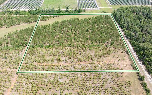 10 Acres of Recreational & Residential Land for Sale in Live Oak, Florida