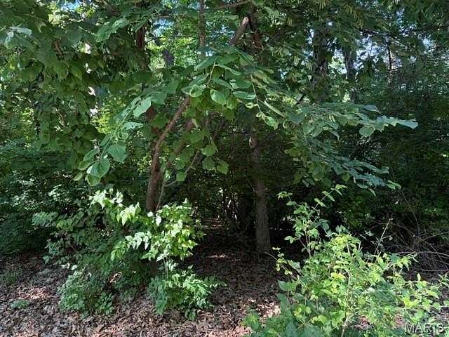 0.63 Acres of Residential Land for Sale in Ballwin, Missouri