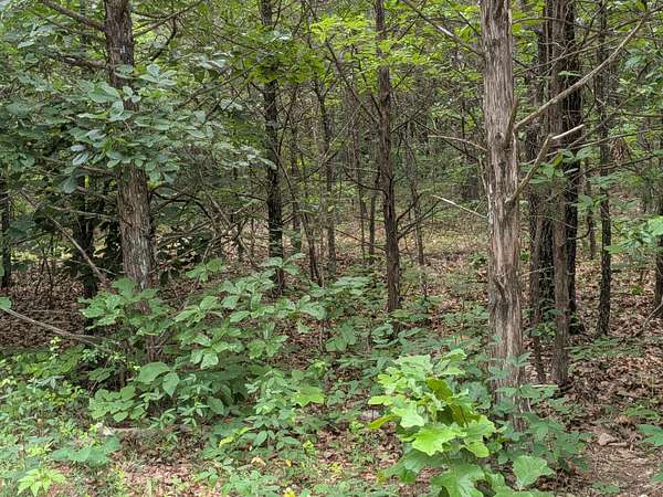 0.62 Acres of Land for Sale in Shell Knob, Missouri