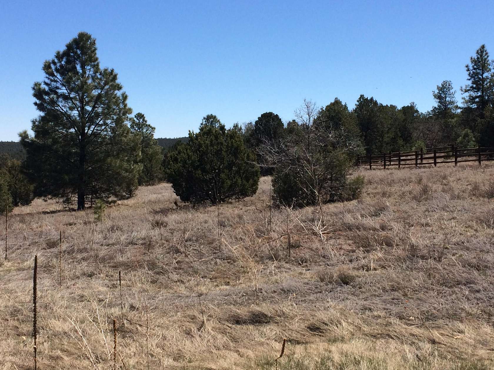 4.39 Acres of Residential Land for Sale in Tijeras, New Mexico