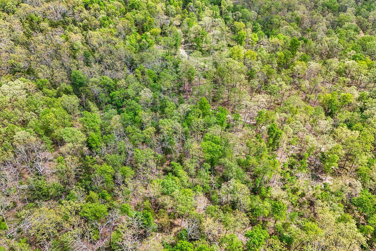 62 Acres of Recreational & Residential Land for Sale in Huggins, Missouri