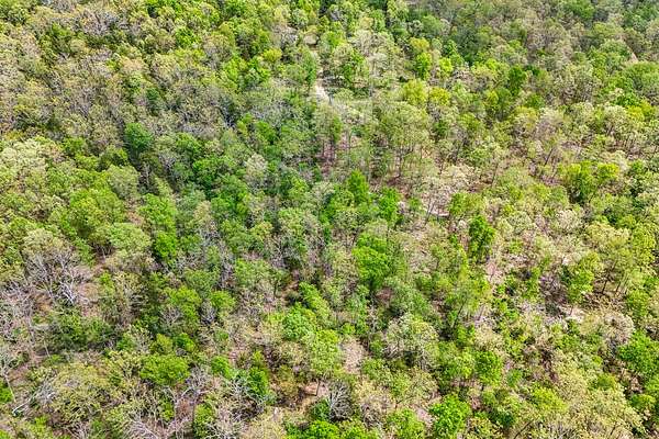 62 Acres of Recreational & Residential Land for Sale in Huggins, Missouri