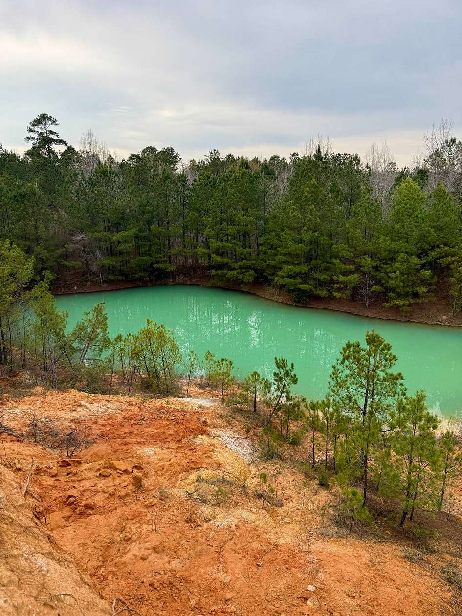 42.5 Acres of Recreational Land for Sale in Preston, Mississippi