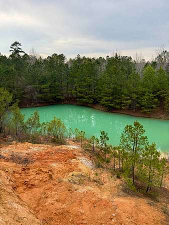 42.5 Acres of Recreational Land for Sale in Preston, Mississippi