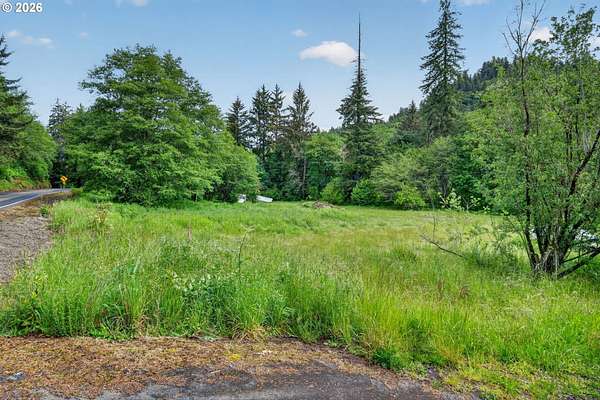 4.16 Acres of Residential Land for Sale in Beaver, Oregon