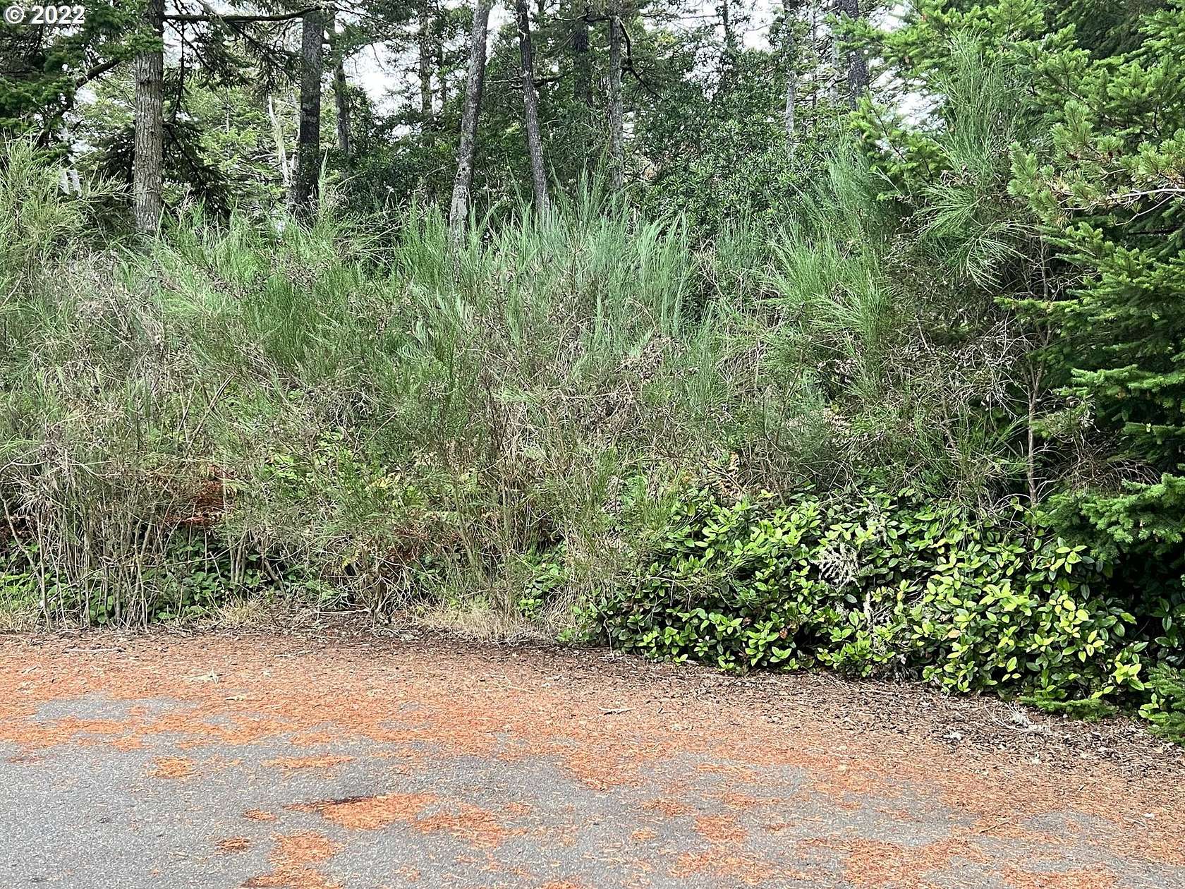 0.16 Acres of Residential Land for Sale in Florence, Oregon
