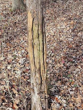 28 Acres of Land for Sale in Kalamazoo, Michigan