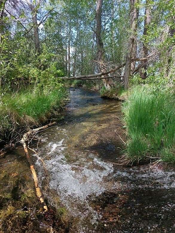 62 Acres of Land for Sale in Moffat, Colorado