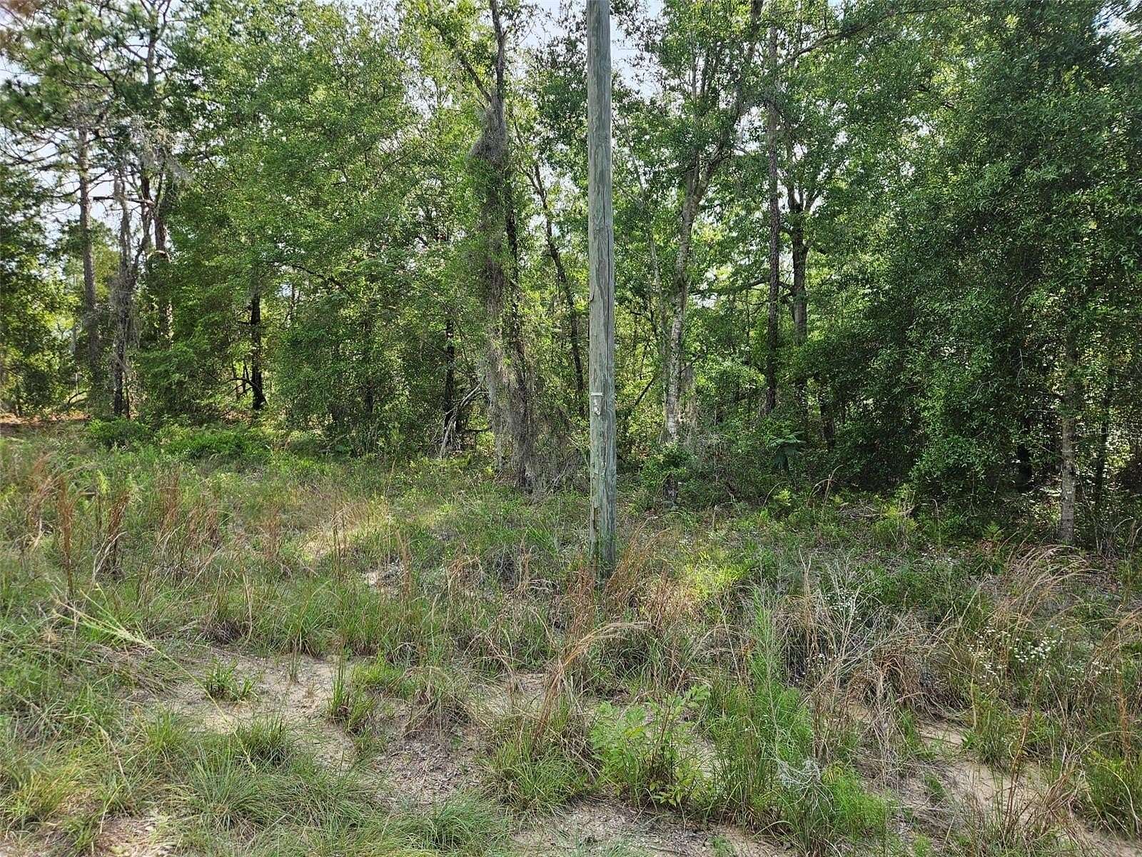0.23 Acres of Residential Land for Sale in Williston, Florida