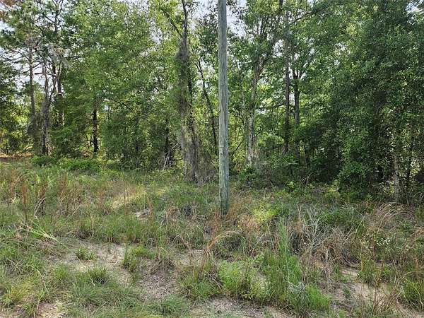 0.23 Acres of Residential Land for Sale in Williston, Florida