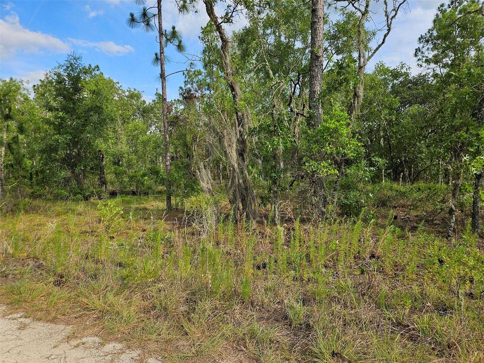 0.23 Acres of Residential Land for Sale in Williston, Florida