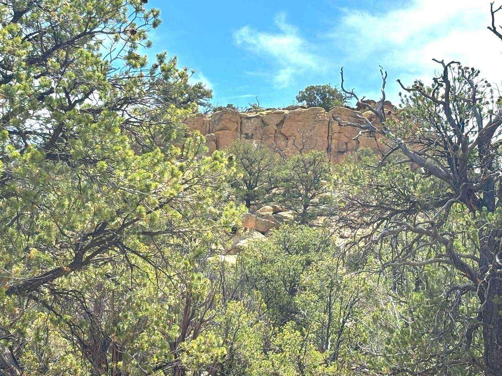 20 Acres of Land for Sale in Pie Town, New Mexico