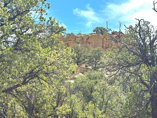 20 Acres of Land for Sale in Pie Town, New Mexico