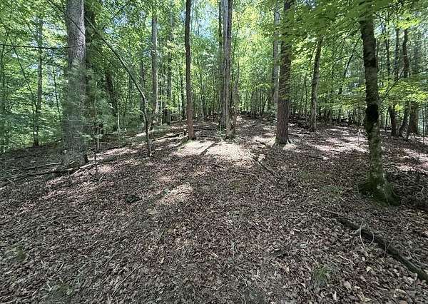 1 Acre of Residential Land for Sale in Ellijay, Georgia