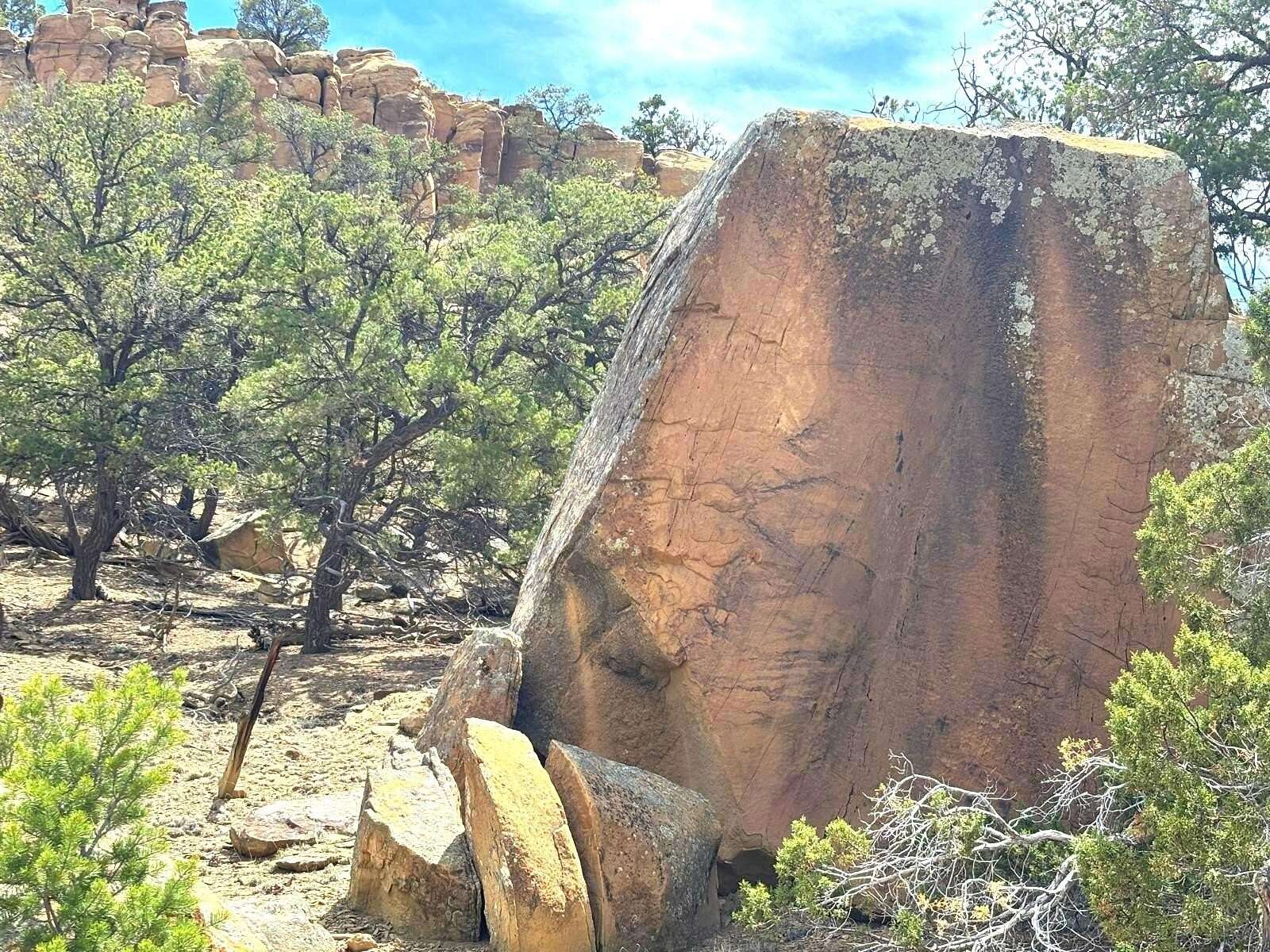 20 Acres of Land for Sale in Pie Town, New Mexico