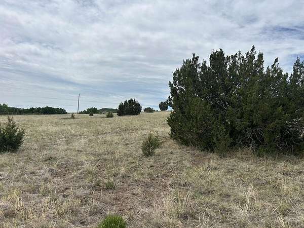 0.23 Acres of Residential Land for Sale in Colorado City, Colorado