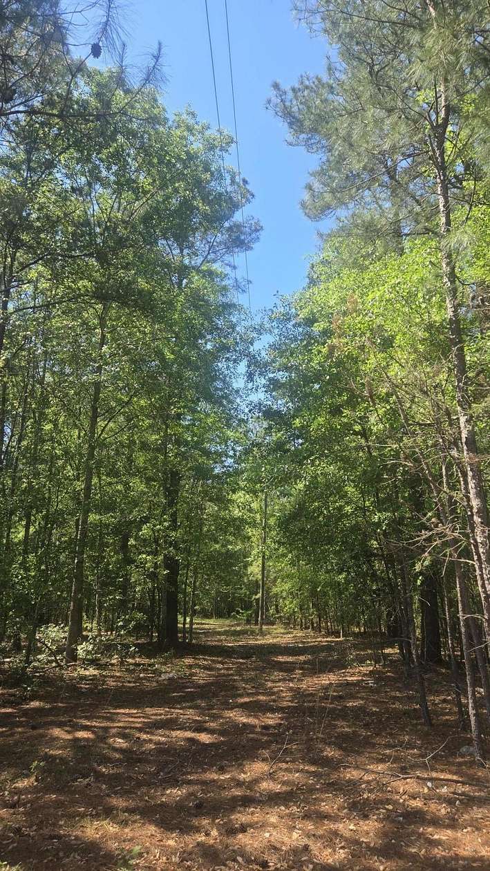 15.2 Acres of Land for Sale in Sumter, South Carolina
