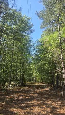 15.2 Acres of Land for Sale in Sumter, South Carolina