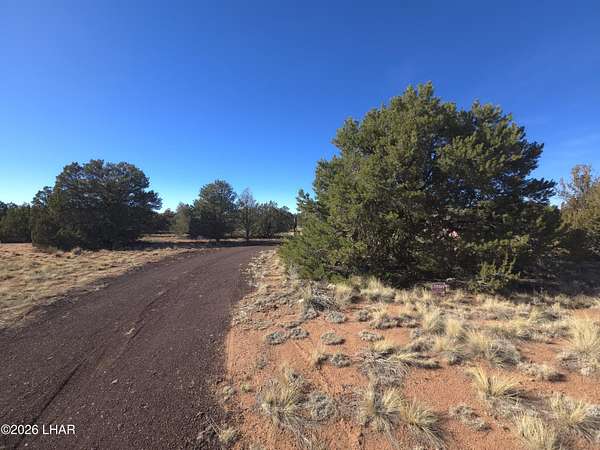 1 Acre of Mixed-Use Land for Sale in Williams, Arizona