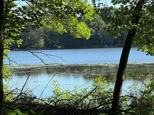 14.5 Acres of Recreational & Residential Land for Sale in Shell Lake, Wisconsin