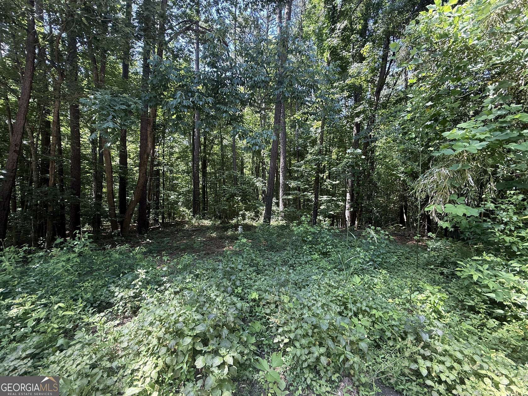 0.43 Acres of Residential Land for Sale in Monticello, Georgia