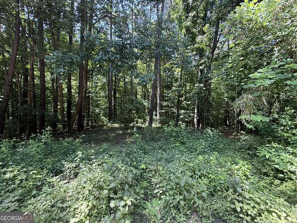 0.43 Acres of Residential Land for Sale in Monticello, Georgia