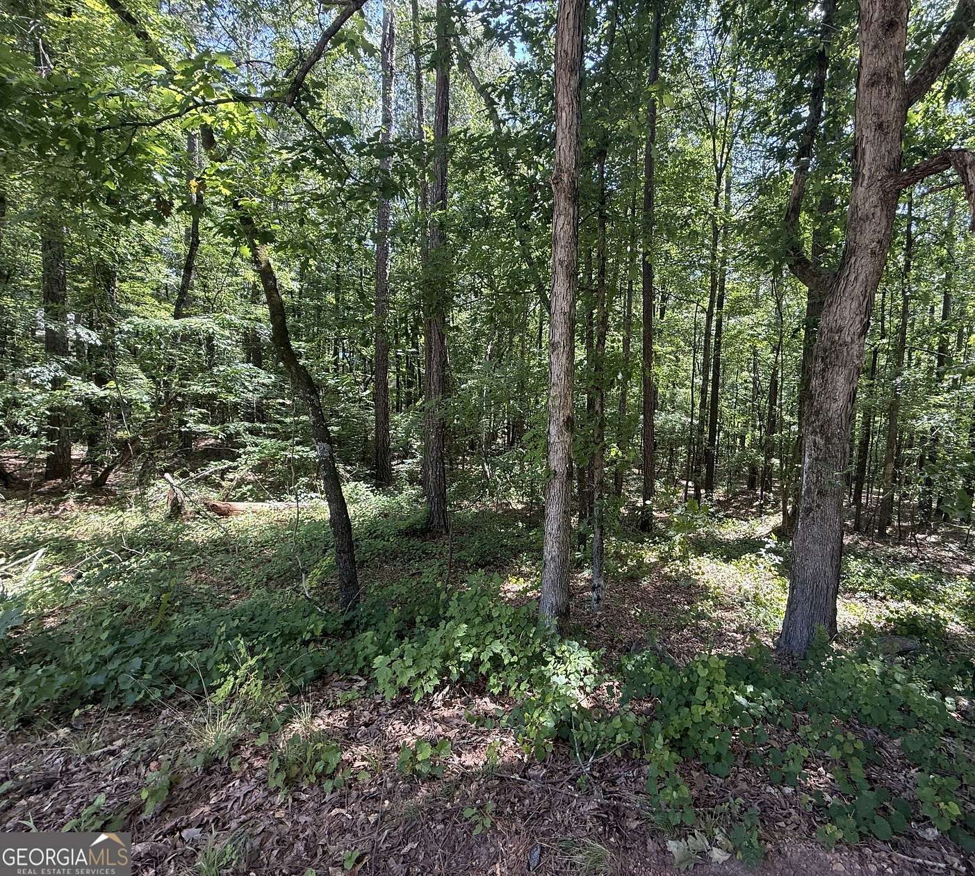Residential Land for Sale in Monticello, Georgia