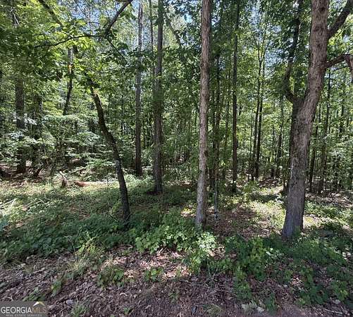 Residential Land for Sale in Monticello, Georgia
