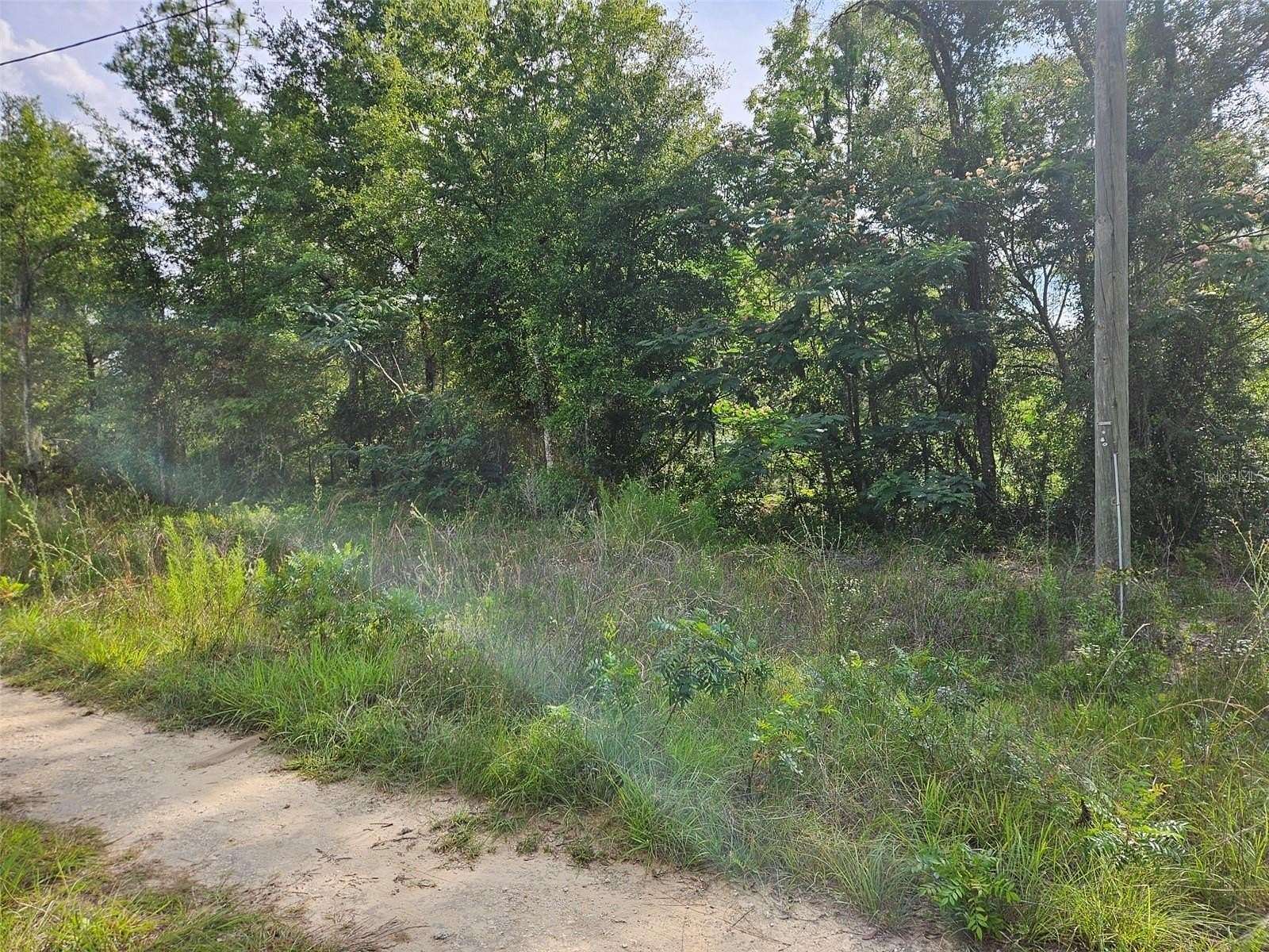 0.23 Acres of Residential Land for Sale in Williston, Florida