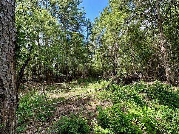 1.65 Acres of Residential Land for Sale in Diboll, Texas
