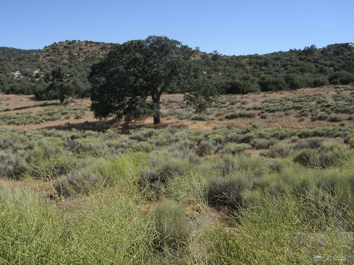 5 Acres of Residential Land for Sale in Tehachapi, California