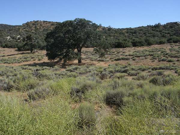 5 Acres of Residential Land for Sale in Tehachapi, California