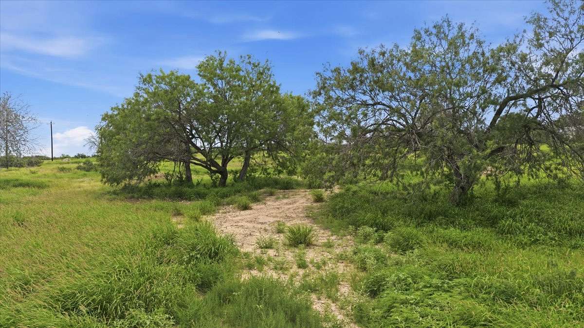 10 Acres of Land for Sale in Three Rivers, Texas