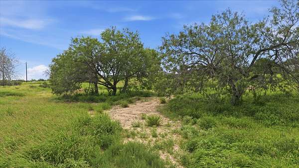 10 Acres of Land for Sale in Three Rivers, Texas