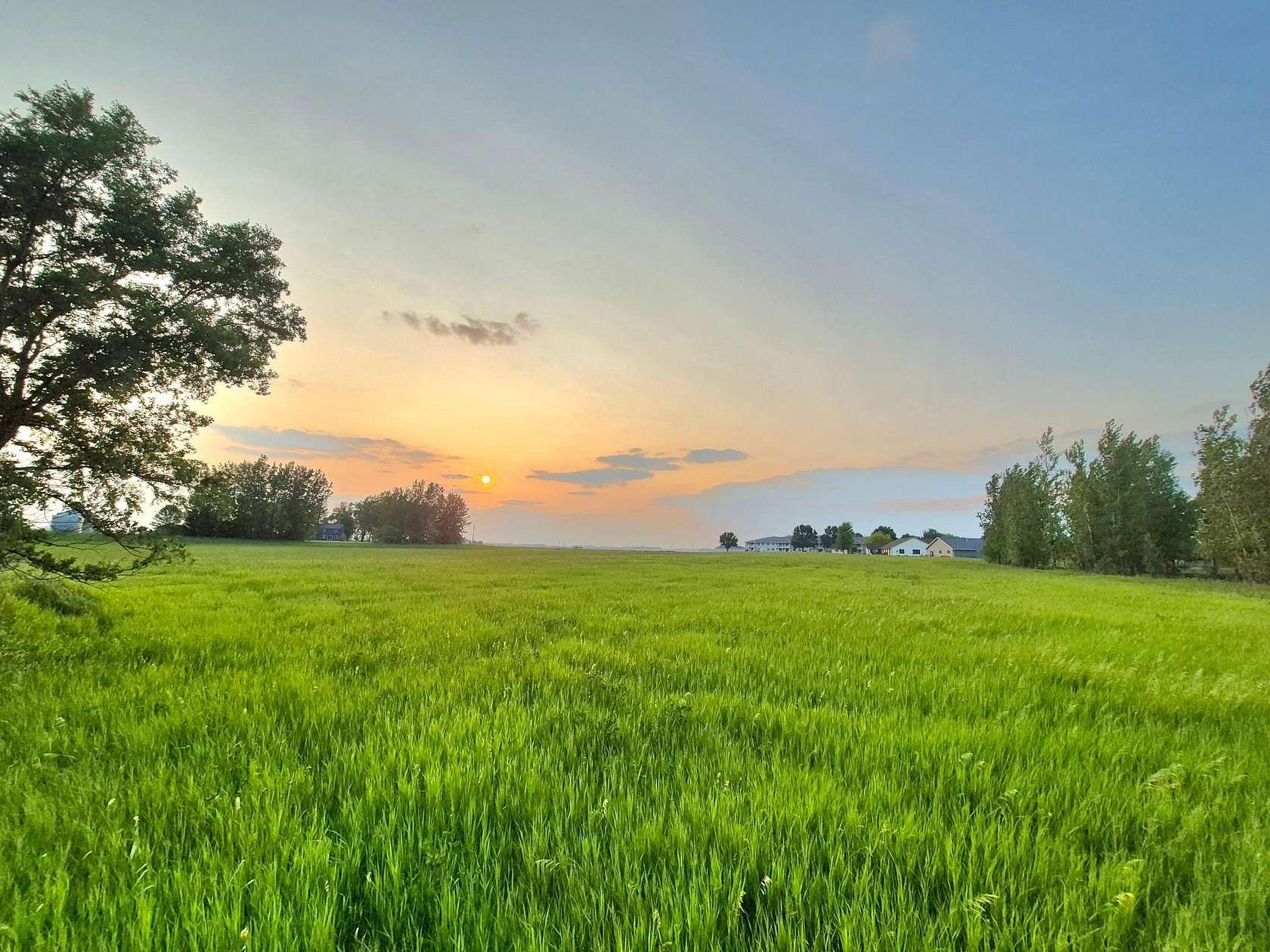 15.5 Acres of Land for Sale in Arlington, Minnesota