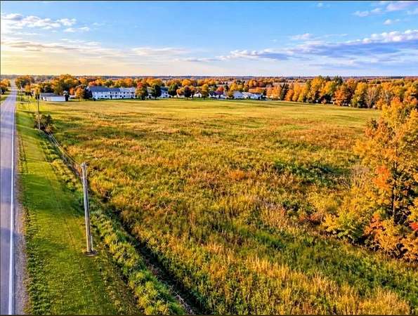 15.5 Acres of Land for Sale in Arlington, Minnesota