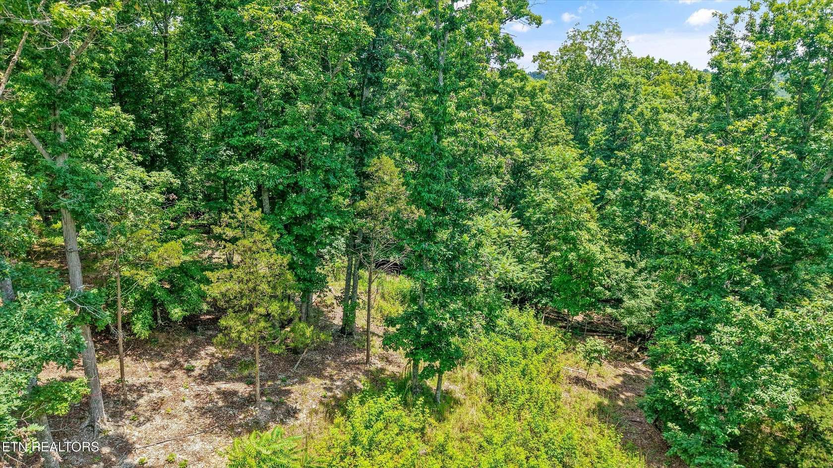 16 Acres of Land for Sale in Kingston, Tennessee