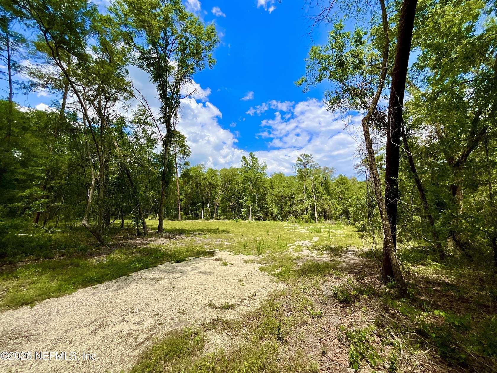 3 Acres of Residential Land for Sale in Hawthorne, Florida