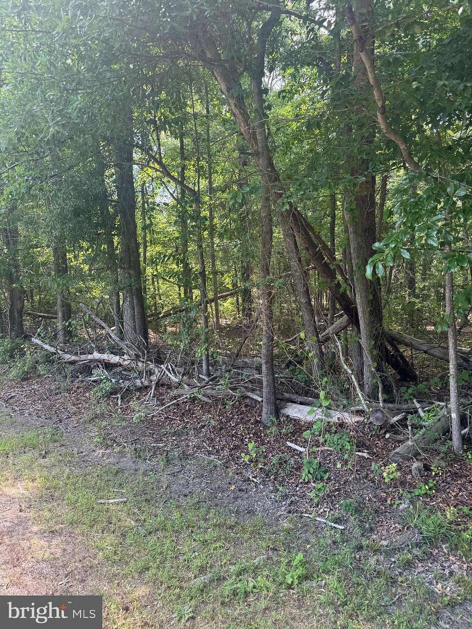 0.5 Acres of Residential Land for Sale in Stafford, Virginia