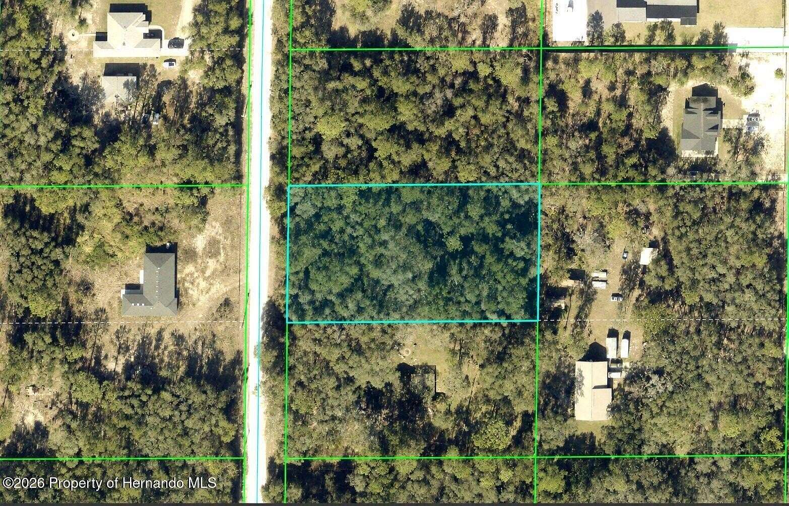 1.2 Acres of Residential Land for Sale in Webster, Florida