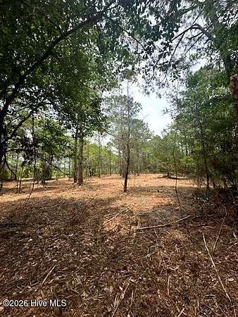 0.18 Acres of Residential Land for Sale in Supply, North Carolina