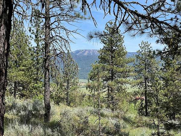 2.14 Acres of Land for Sale in New Meadows, Idaho