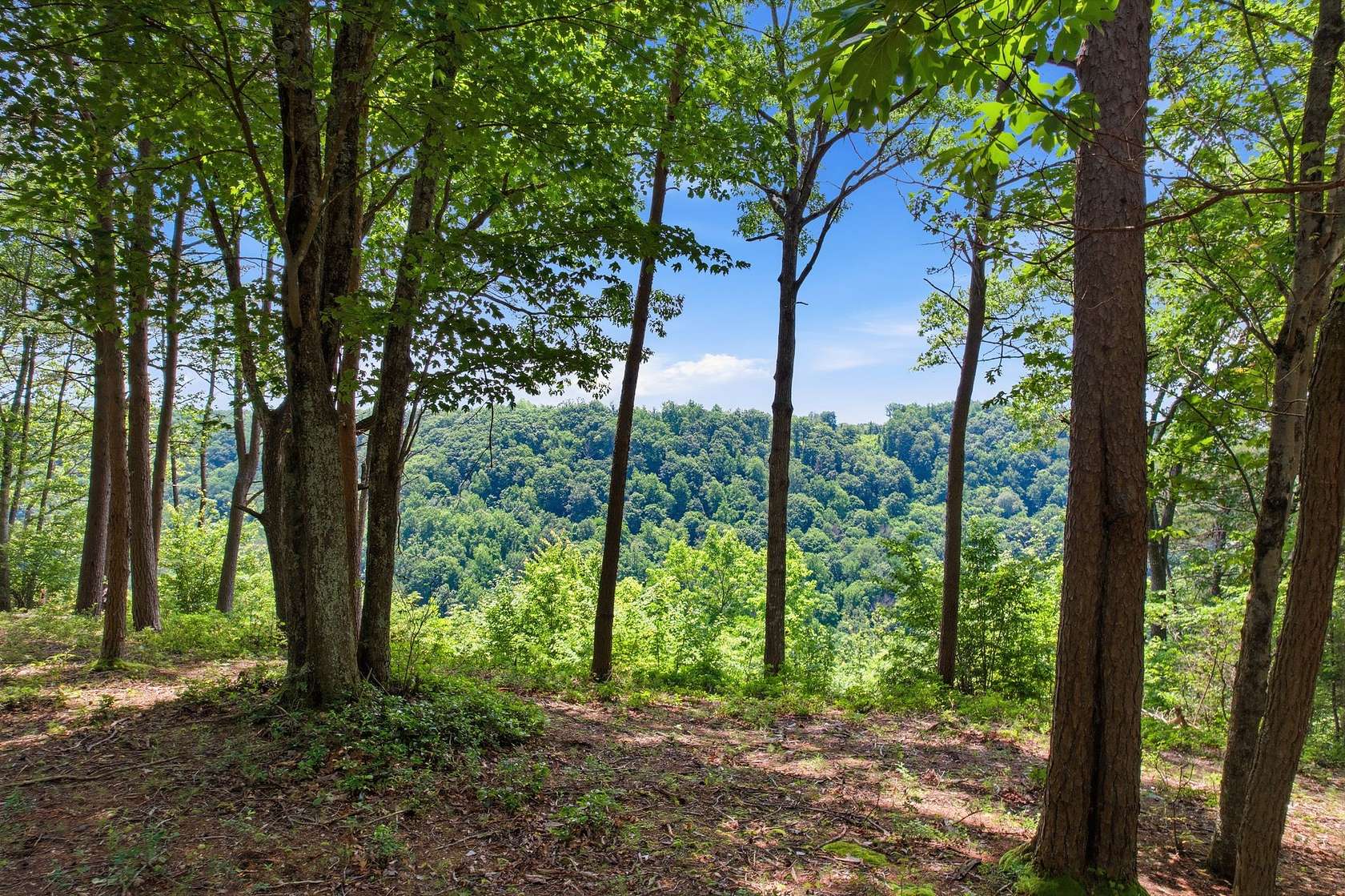 5 Acres of Residential Land for Sale in Monteagle, Tennessee