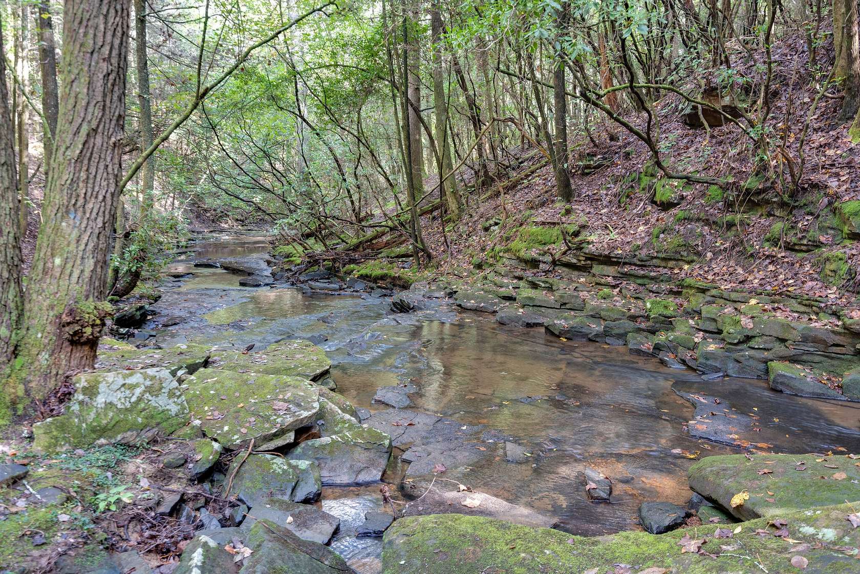 5.14 Acres of Residential Land for Sale in Monteagle, Tennessee
