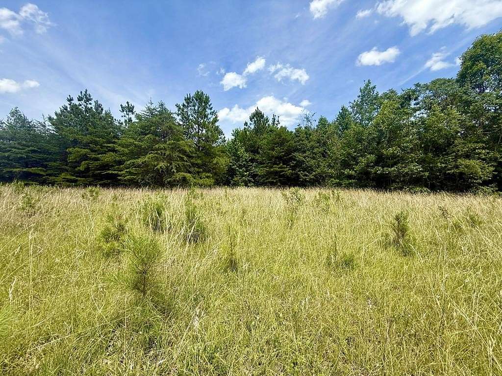 4 Acres of Residential Land for Sale in Meherrin, Virginia
