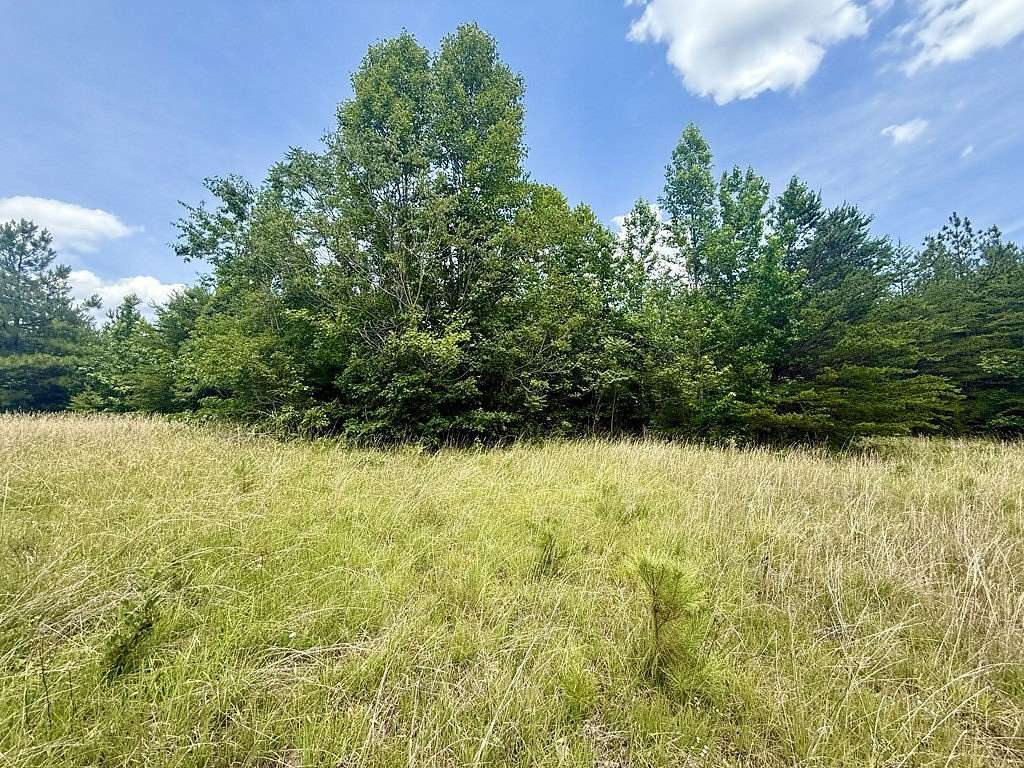 3.77 Acres of Residential Land for Sale in Meherrin, Virginia
