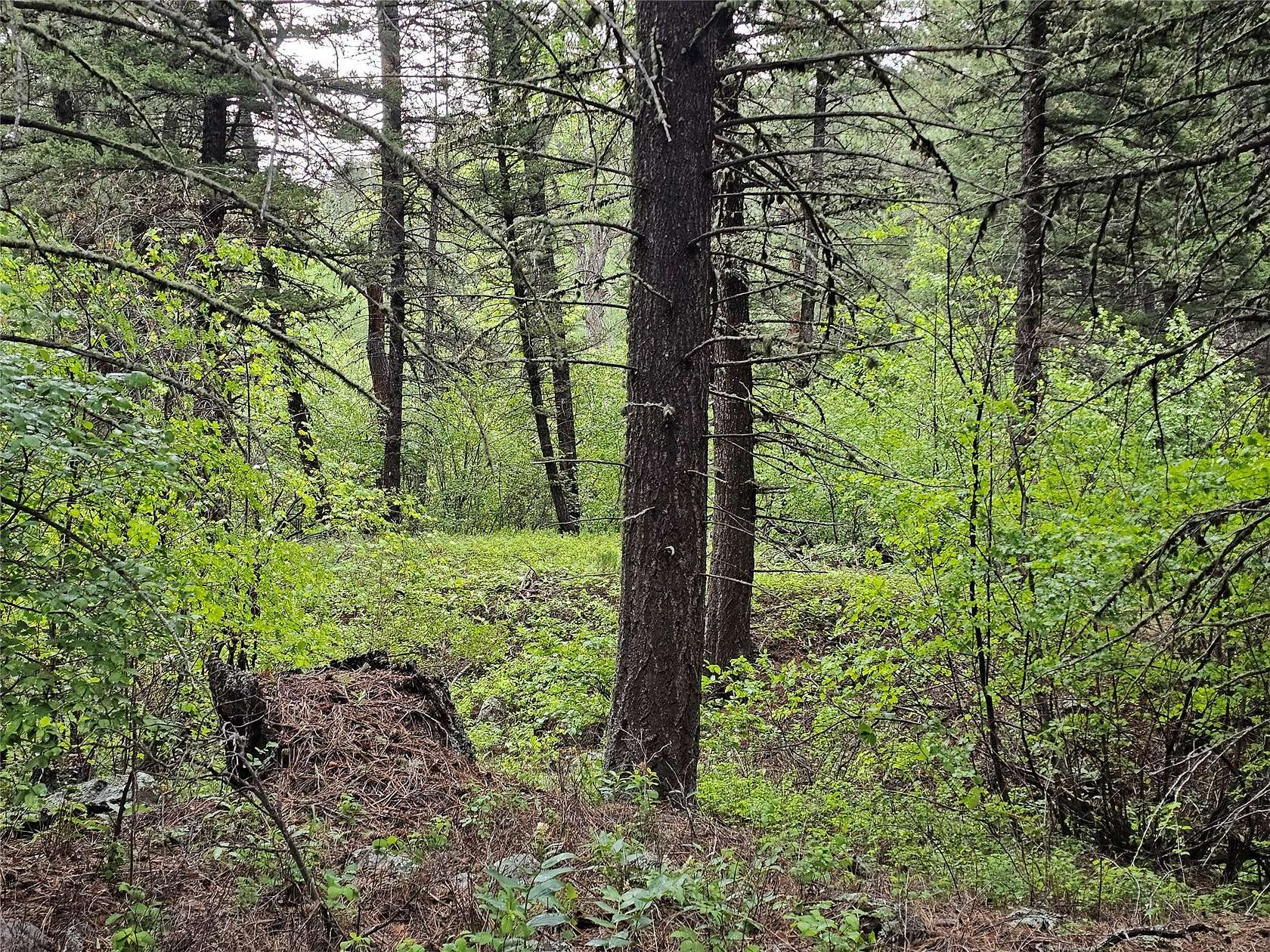 20.1 Acres of Recreational Land for Sale in Cascade, Montana