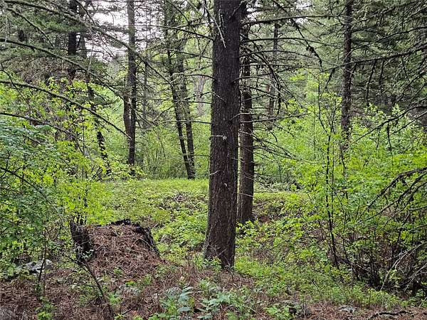 20.1 Acres of Recreational Land for Sale in Cascade, Montana
