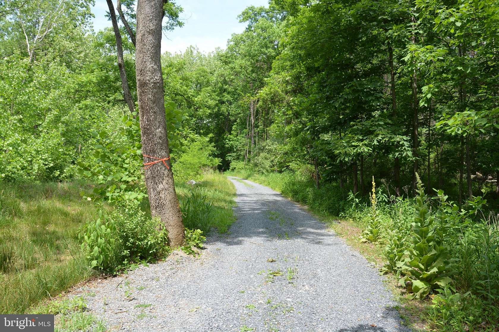 20 Acres of Recreational & Residential Land for Sale in Winchester, Virginia