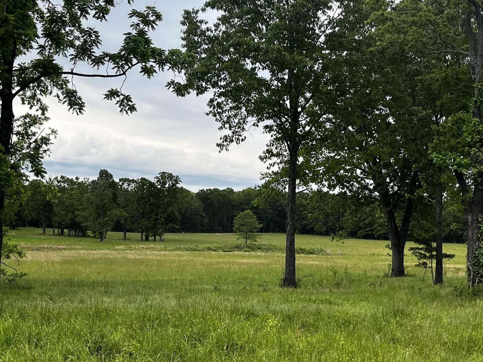 43 Acres of Agricultural & Residential Land for Sale in West Plains, Missouri